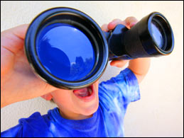 Web Search